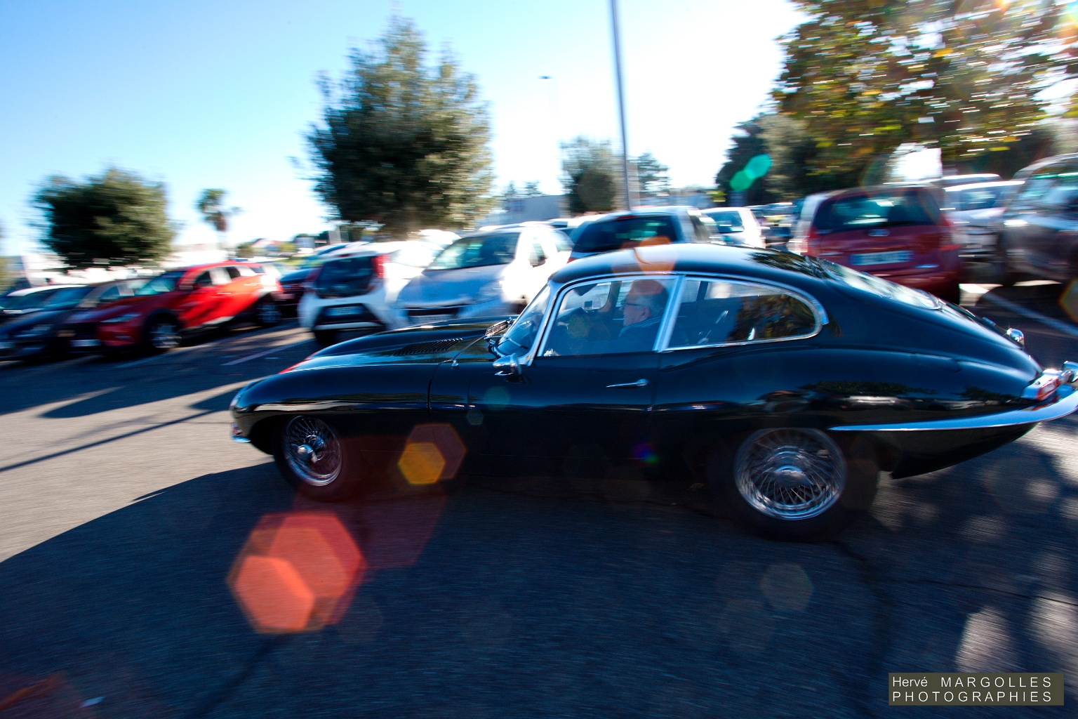 Jaguar Type E-01.jpg